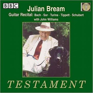The Blue Guitar: III. Juggling