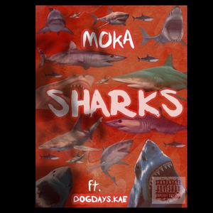 SHARKS (feat. Dogdays.Kae) [Explicit]