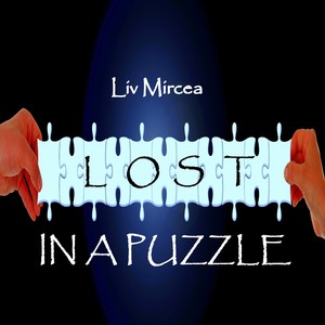 Lost in a Puzzle