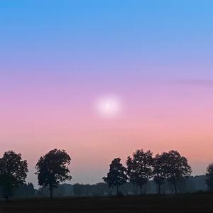 Summer Nights(Wish You Were Here)