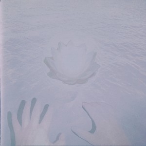 Observations trough the halocline of the world, VI