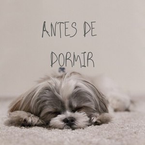 Antes De Dormir