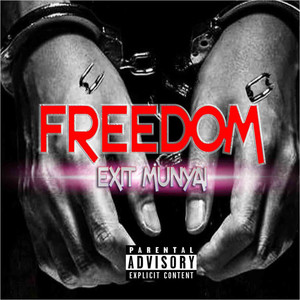 Freedom (feat. Dj Something Else) [Explicit]