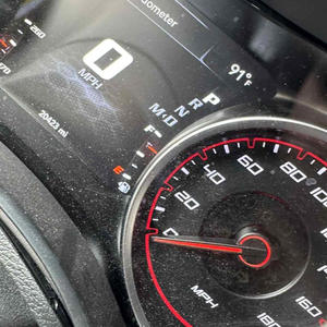 YSN (feat. lilshawn) (Explicit)