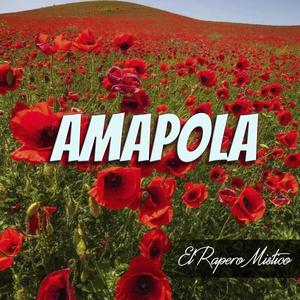 AMAPOLA