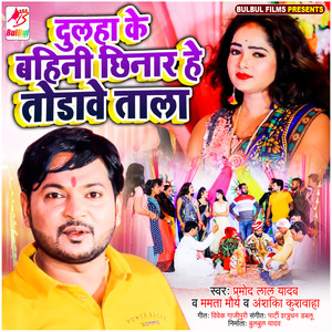 Dulaha Ke Bahini Chinar He Todave Tala - Single