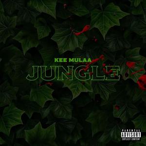 Jungle (Explicit)