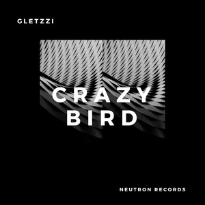 Crazy Bird