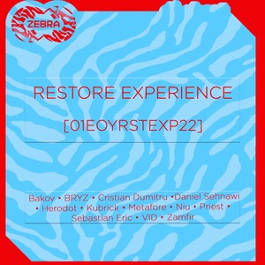 Restore Experience [01EOYRSTEXP22]