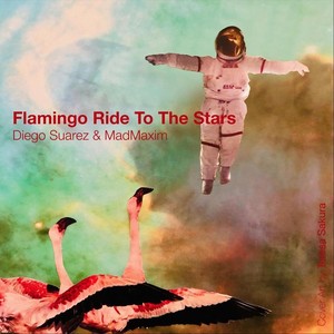 Flamingo Ride to the Stars