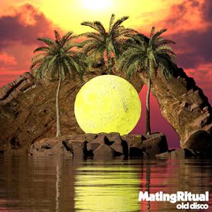 Old Disco (Explicit)