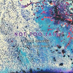 not too late (feat. Don Posei)