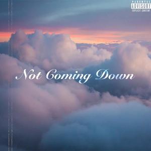 NOT COMING DOWN (feat. Trippy Moe) [Radio Edit]