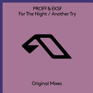 For The Night (Extended Mix)