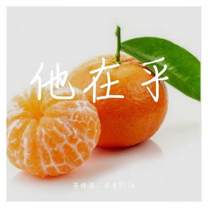 他在乎 (我去世了然后...)封面