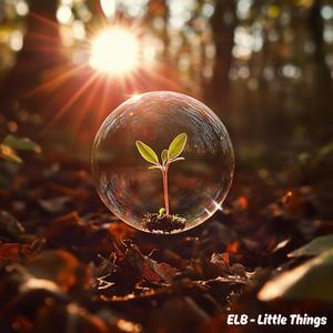Little Things