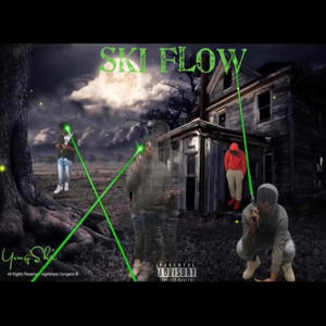 Ski Flow (Explicit)