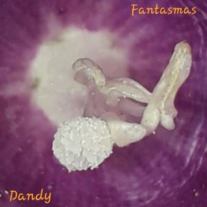 Fantasmas