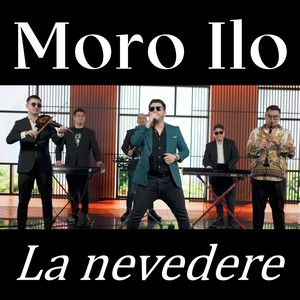 La nevedere (Live)
