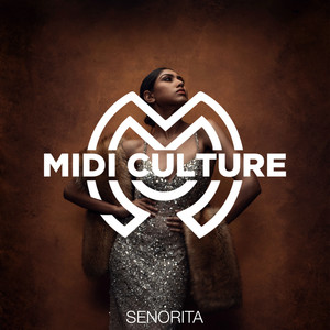 Senorita (Originial Mix)