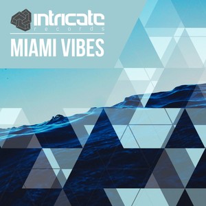 Miami Vibes 2018 (Continuous DJ Mix)