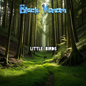 Little Birds (Remix)