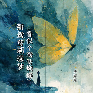 新鸳鸯蝴蝶梦 (看似个 鸳鸯蝴蝶)