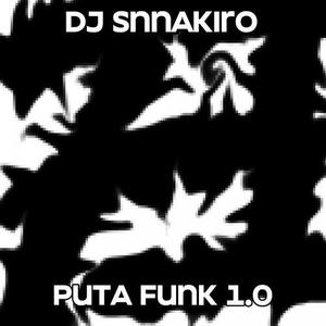 PUTA FUNK 1.0
