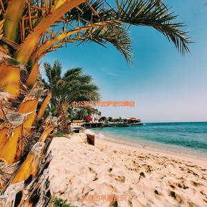 适合办公事务绝妙的音乐