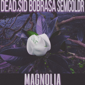 Magnolia (Explicit)