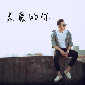你会遇到陪你看风景的人 (DJ长音频) - 主播凯紫封面