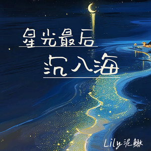 星光最后沉入海