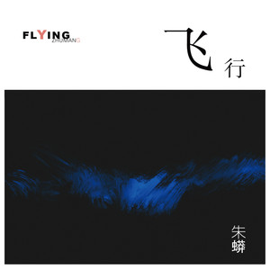 Flying 飞行