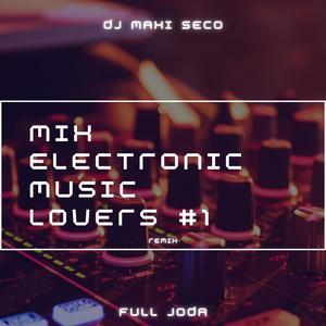 Mix Electronic Music Lovers #1 (Remix)