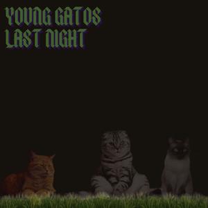 Young Gatos Last Night (Explicit)