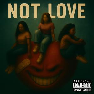 Not Love (Explicit)