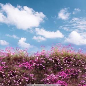 把这份美好藏在我心里 (广场大妈慢二舞曲 女声)