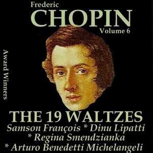 Chopin, Vol. 6 : The 19 Waltzes (Award Winners)