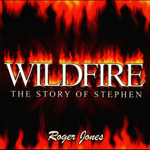 Wildfire - the story of Stephen