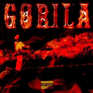 Gorila (Explicit)