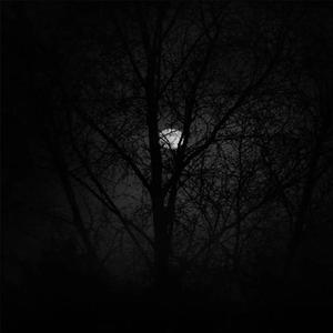 WHATSURNAME (w ROIJUN) (feat. ROIJUN) (Explicit)