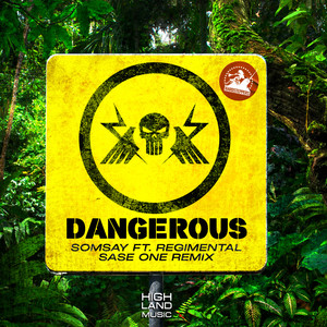 Dangerous (Remix)