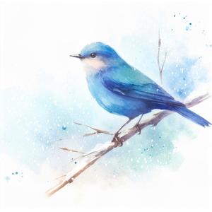 bluebird in the snow