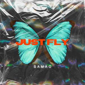 Just Fly