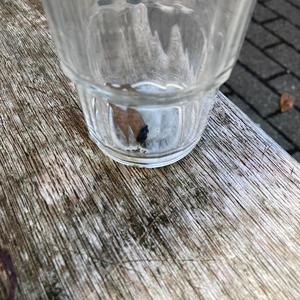 Conspiracy Against Reality