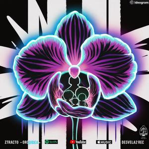 Orquidea (Desvela2Rec) (Explicit)