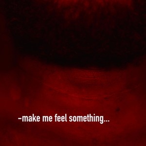 Make Me Feel Something