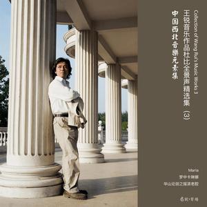 Collection of Wang Rui's Music Works 3---中国西北音乐元素集