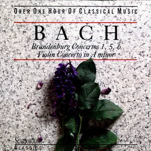 Bach: Brandenburg Concertos 1,5,6