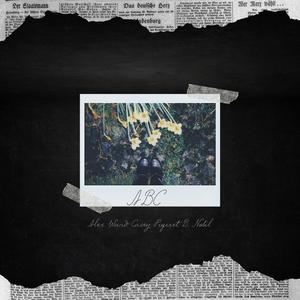 ABC (feat. Casey Piquet & B. Nobil) (Explicit)